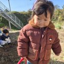 새싹어린이집 이미지