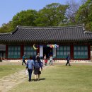 해미-비상-5 이미지