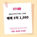 골드공인중개사사무소 | 해밀동 매매 5억 1,000 - 산울골드공인중개사사무소