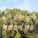 순천만 목향