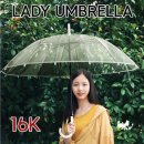 제이디에스베이직 이미지