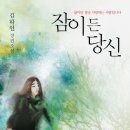 잠이 든 당신 / 김하인 /느낌이 있는 책/216쪽 이미지