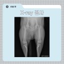 조양래 동물의료센터 이미지