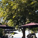 구봉도 비치타운 | 앤틸로프 카페 후기 | 화성 가볼만한 곳 대부도 오션뷰 카페 솔직후기