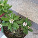 전라농장 이미지