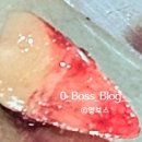 진아호프 | 안산 월피동 술집 산마을호프 월피점