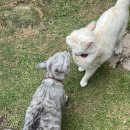 풀등민박 이미지