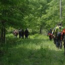 장흥2리 마을회관 앞 이미지