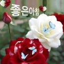 인사말 이미지 8.10(토요일) 이미지