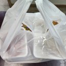 [경기] 의정부 족발, 보쌈 맛집 황놀부왕족발보쌈 배달 후기 (Feat. 요기요) &lt;내 돈 내산&gt;