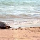 채석강민박 이미지