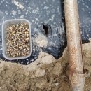 새이천약국 이미지