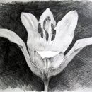 데생 중급 이미지