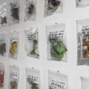 [서유기]낯선 세계로 떠나는 모험의 기록 | 수집에 집착하면 건강에 이로울까?