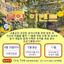 2025년 고흥 유자나무 분양 이벤트 참여자 모집 이미지