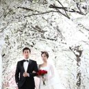 스튜디오에스 이미지