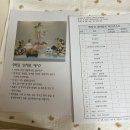 내포 백일상 / 돌상 추천이염!!! 미니지니상점 + 시안봉봉