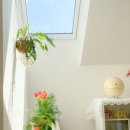 햇살가득민박 이미지