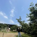 권가농장 이미지