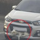 서울동물복지지원센터 동대문 동물병원 이미지