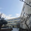 앨리스애견호텔, 용품 | 경주 키녹 애견동반 호텔 내돈내산 후기, 또미랑 2박 디럭스 숙박 운동부터 보문호 산책까지