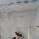 태봉조류원