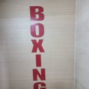 한성 복싱짐 이미지