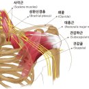 자세교정원 네이버블로그