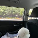 VILLA de LOUIS 이미지