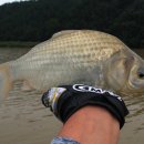 감곡낚시터 이미지