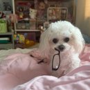 나이스안경콘택트 | 1001안경콘택트중동점 | 에어로블 안경테 후기｜부모님 가벼운 안경 추천