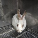 이촌2동 주민센터 기타 이미지