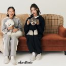 펫스페이스 이미지