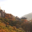 금산-10 이미지