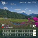 감곡 | [골프⛳️] 충북 음성 감곡cc 주말 라운딩후기 그린피,그린상태 +주변 맛집추천 💚