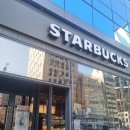 스타벅스_사거리3 | [강남역] 스타벅스 국기원사거리점 방문 후기 ☕️✨