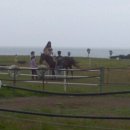 일출언덕신산게스트하우스 이미지