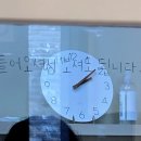 제주 이쁘냥 고양이미용실 이미지