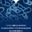 세움 티스토리