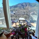 지리산 나무처럼 | 지리산펜션 지리산나무처럼 방문후기