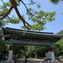 통일카서비스 | 속초 가볼만한곳: 설악산 케이블카/신흥사/권금성(케이블카팁)