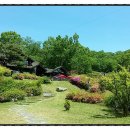 홍천염소농장 이미지