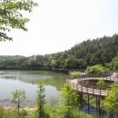 유한회사 에코루 이미지