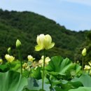 고고농장2 이미지