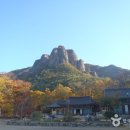 상의자동차야영장 이미지