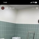 무거동 강아지 미용실 이미지