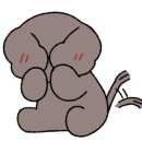 청솔로9 이미지