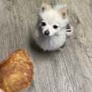 고랑두랑 이미지