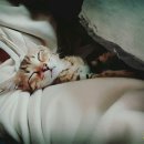 달마PC 이미지