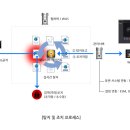 유엠코리아 네이버블로그